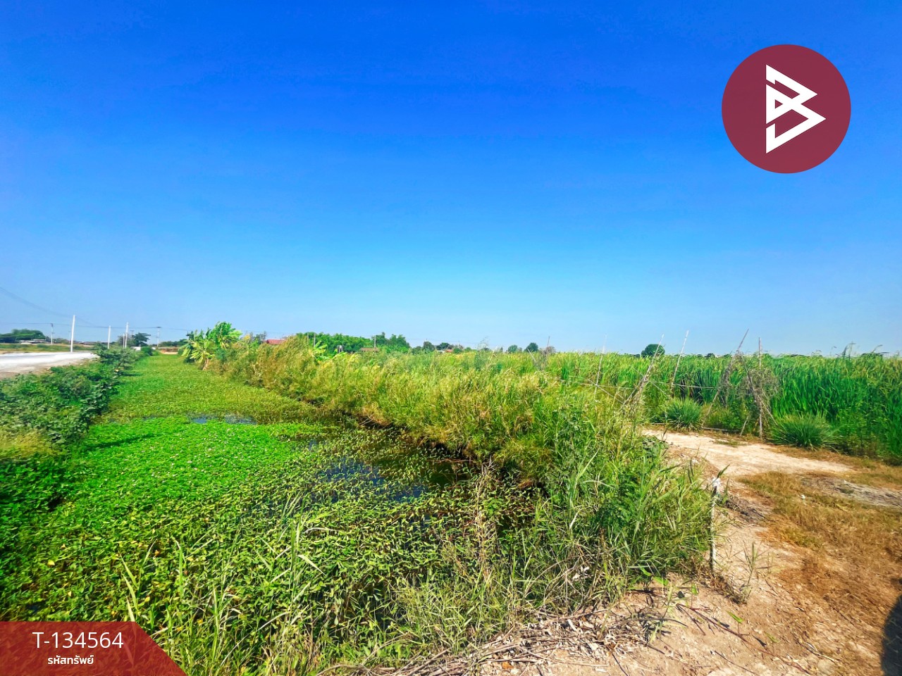 ขายที่ดิน เนื้อที่ 4 ไร่ 2 งาน 2.1 ตร.วา สองพี่น้อง สุพรรณบุรี 10