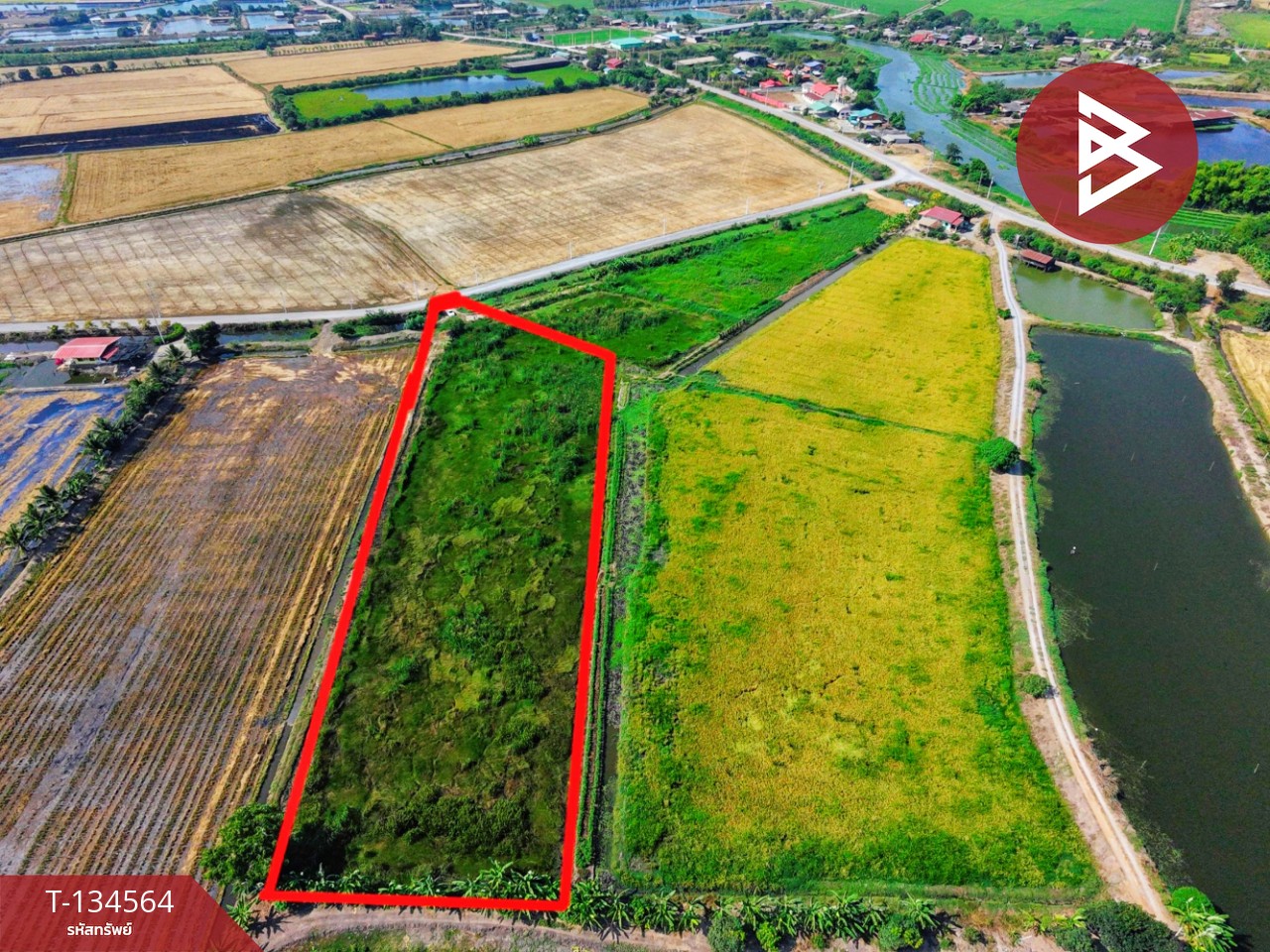 ขายที่ดิน เนื้อที่ 4 ไร่ 2 งาน 2.1 ตร.วา สองพี่น้อง สุพรรณบุรี 1