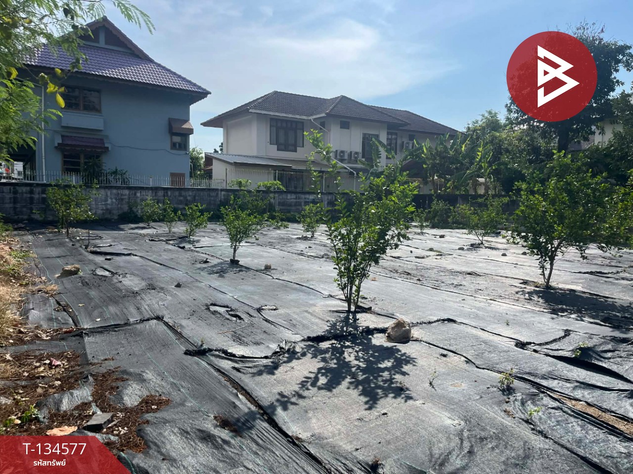 ขายที่ดิน เนื้อที่ 1 งาน 11 ตร.วา บางพลี สมุทรปราการ 9