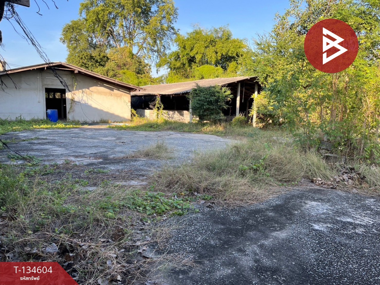 ขายที่ดิน เนื้อที่ 4 ไร่ 73 ตร.วา กำแพงแสน นครปฐม 8