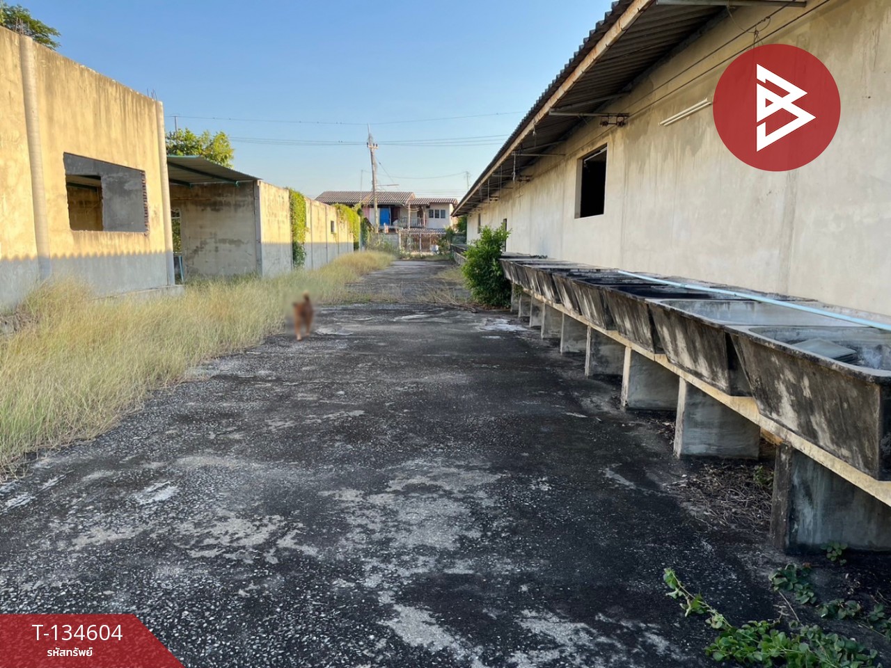 ขายที่ดิน เนื้อที่ 4 ไร่ 73 ตร.วา กำแพงแสน นครปฐม 7