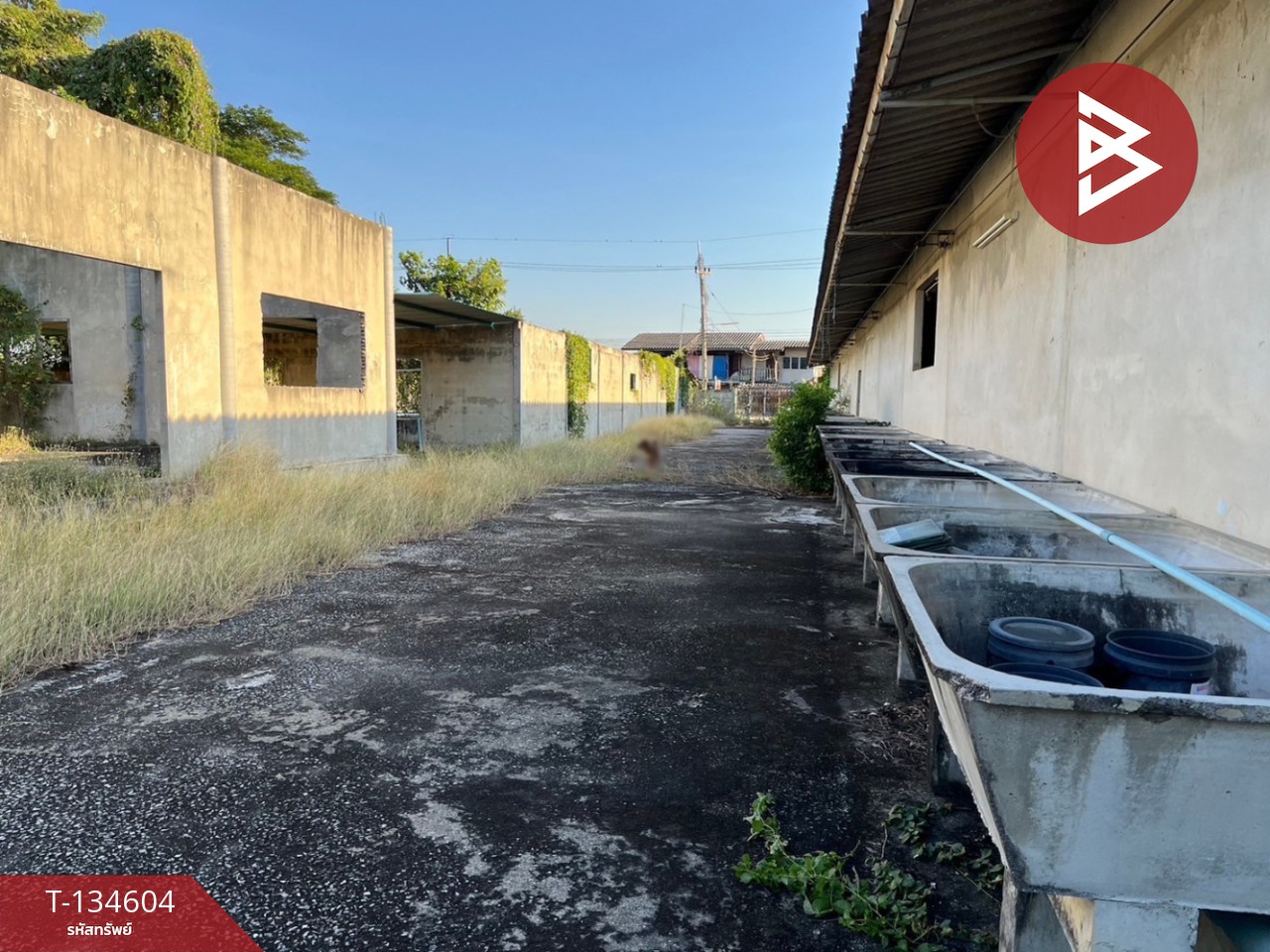 ขายที่ดิน เนื้อที่ 4 ไร่ 73 ตร.วา กำแพงแสน นครปฐม 6