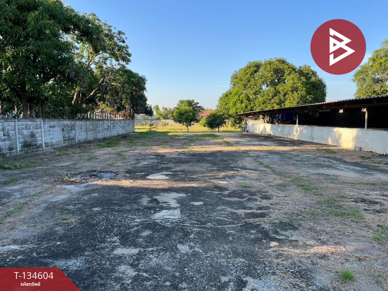 ขายที่ดิน เนื้อที่ 4 ไร่ 73 ตร.วา กำแพงแสน นครปฐม 1