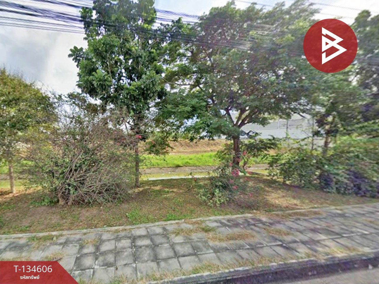 ขายที่ดิน เนื้อที่ 2 ไร่ 98 ตร.วา พานทอง ชลบุรี 2