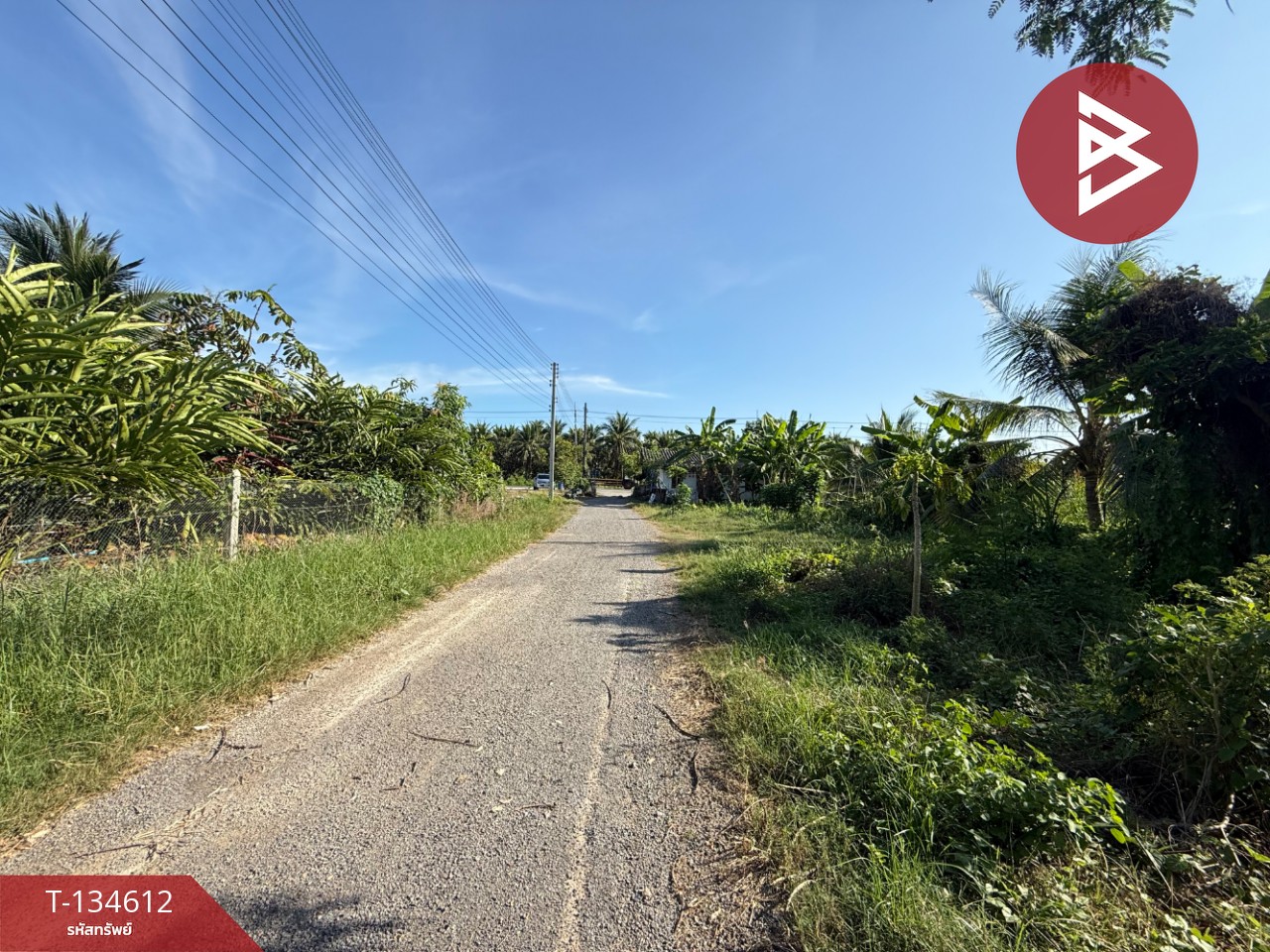 ขายบ้านเดี่ยวพร้อมที่ดิน เนื้อที่ 3 ไร่ 3 งาน 57 ตร.วา บ้านแพ้ว สมุทรสาคร 13