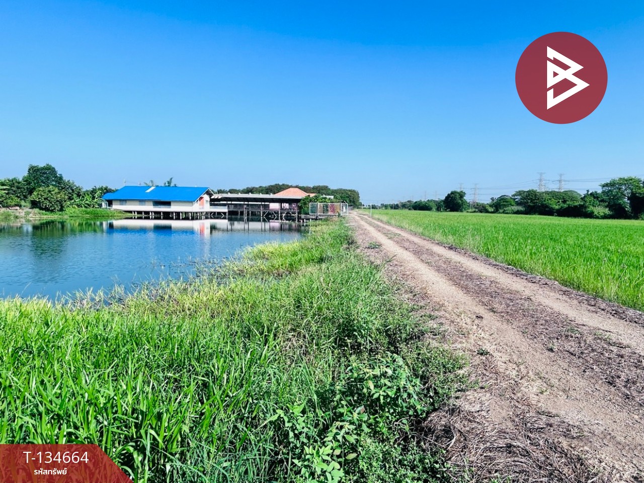 ขายที่ดิน เนื้อที่ 3 งาน 60 ตร.วา มีนบุรี กรุงเทพมหานคร 1