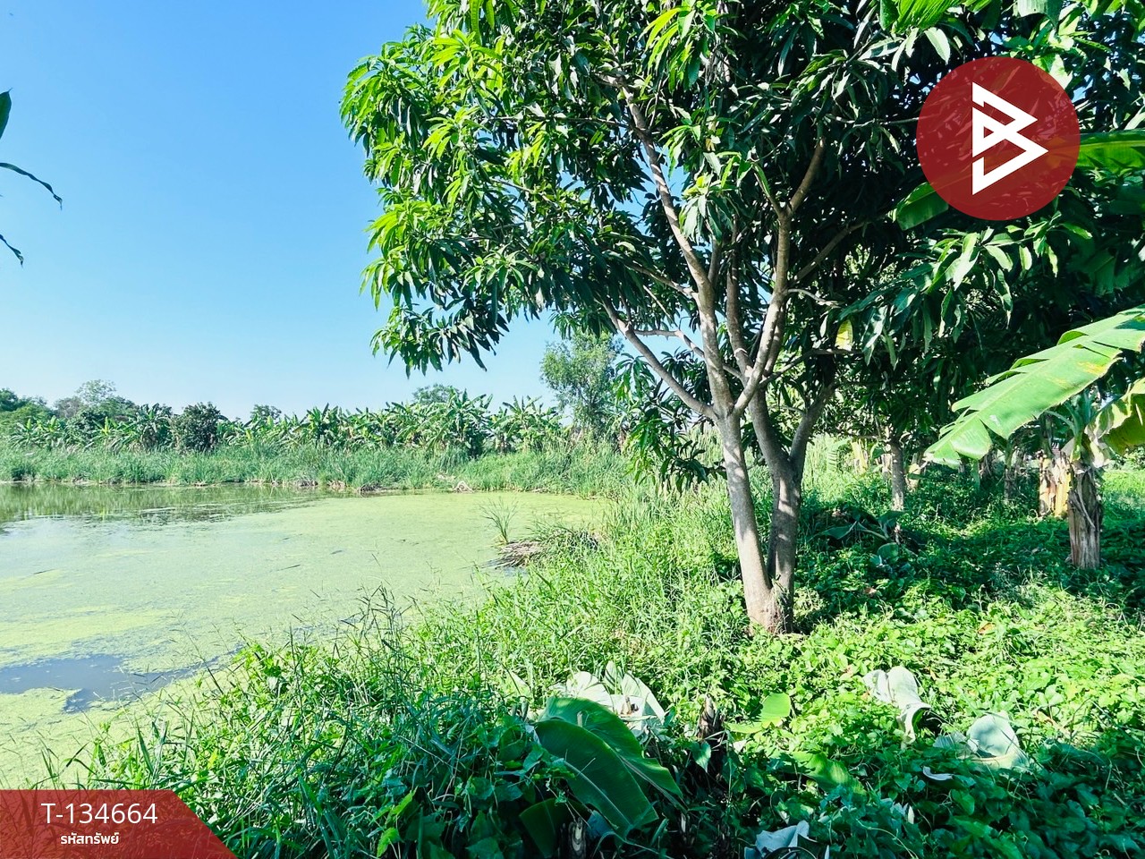 ขายที่ดิน เนื้อที่ 3 งาน 60 ตร.วา มีนบุรี กรุงเทพมหานคร 4