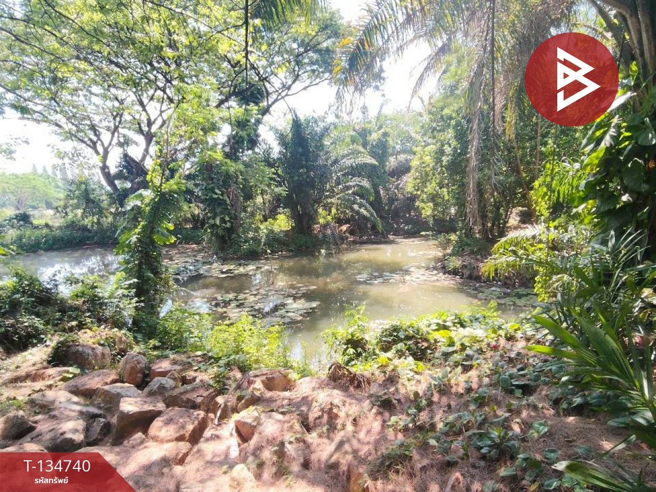 ขายที่ดิน โครงการเดอะลูฟท์ วังไทร ปากช่อง นครราชสีมา (The Luft) 6