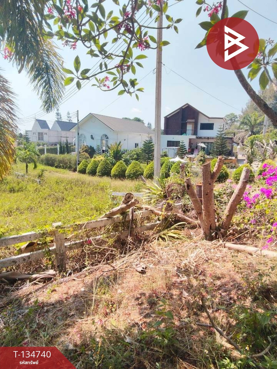 ขายที่ดิน โครงการเดอะลูฟท์ วังไทร ปากช่อง นครราชสีมา (The Luft) 4