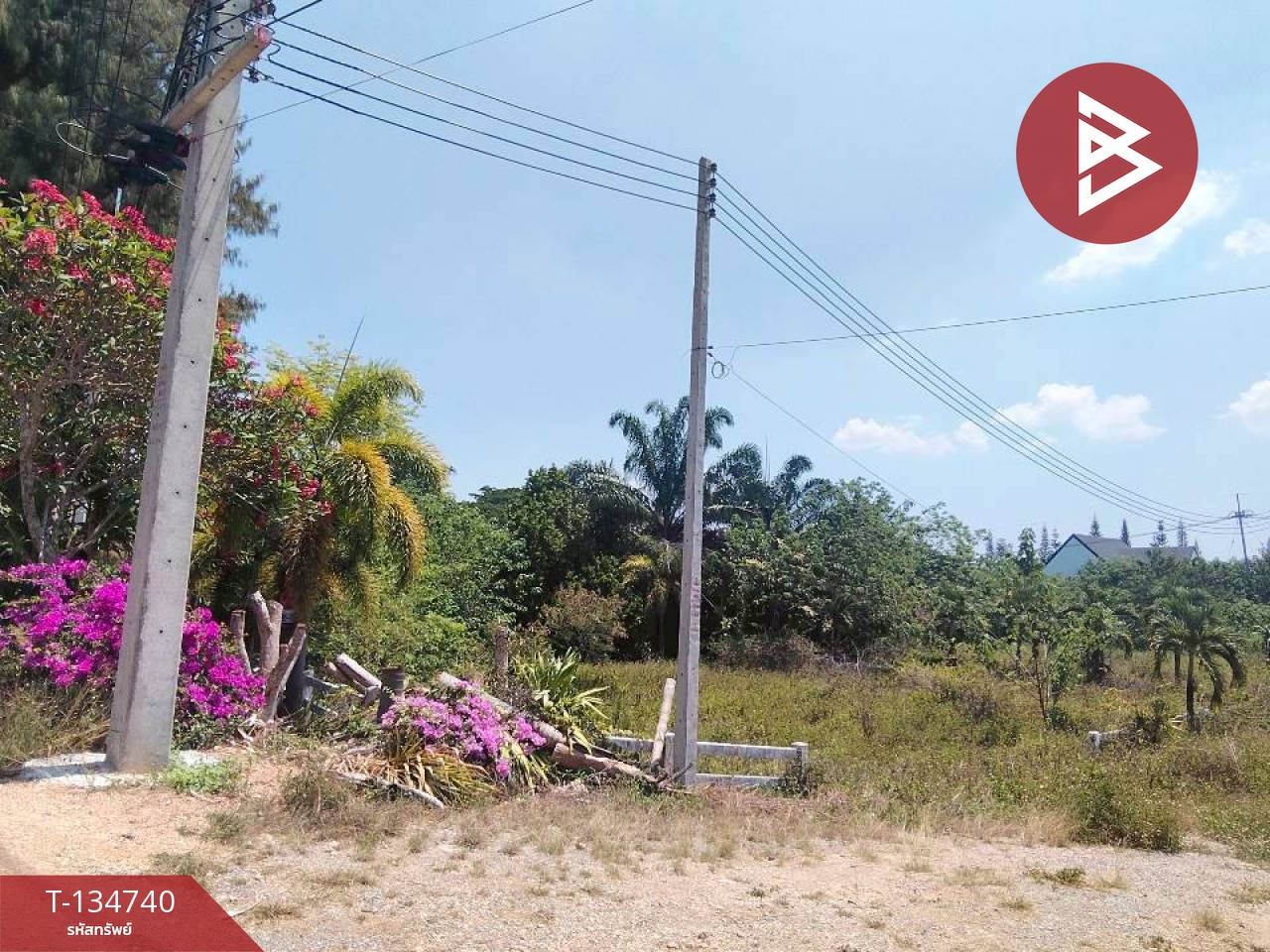 ขายที่ดิน โครงการเดอะลูฟท์ วังไทร ปากช่อง นครราชสีมา (The Luft) 5