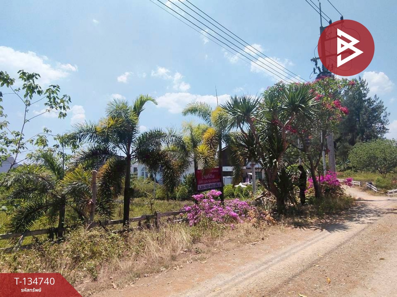 ขายที่ดิน โครงการเดอะลูฟท์ วังไทร ปากช่อง นครราชสีมา (The Luft) 7