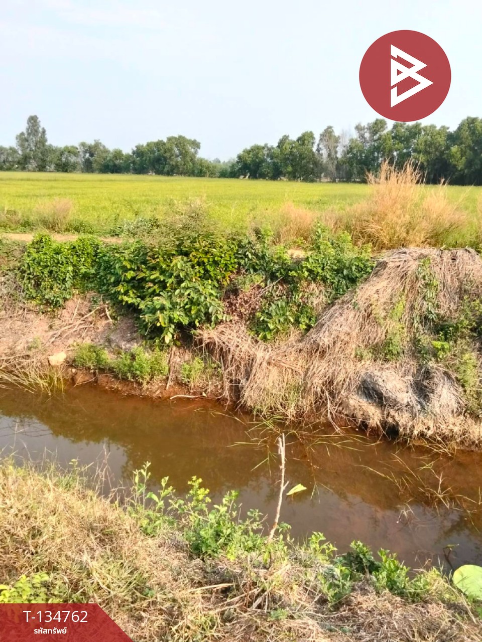 ขายที่ดิน เนื้อที่ 7 ไร่ 90 ตารางวา อ.ราชสาส์น ฉะเชิงเทรา 2