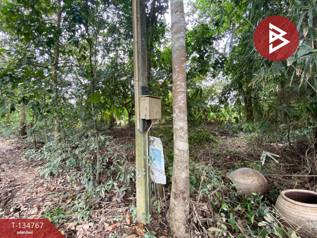 ขายที่ดินพร้อมบ้านพัก เนื้อที่ 3 ไร่ 2 งาน 47 ตร.วา มะขาม จันทบุรี 13