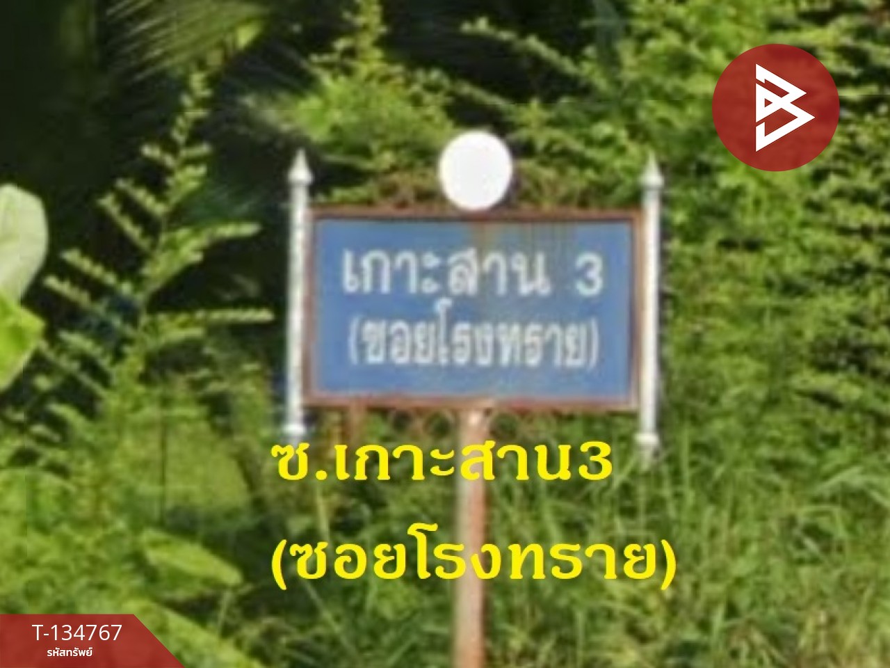 ขายที่ดินพร้อมบ้านพัก เนื้อที่ 3 ไร่ 2 งาน 47 ตร.วา มะขาม จันทบุรี 6