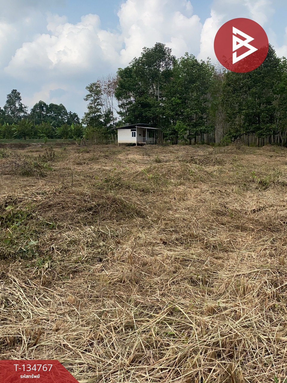 ขายที่ดินพร้อมบ้านพัก เนื้อที่ 3 ไร่ 2 งาน 47 ตร.วา มะขาม จันทบุรี 9