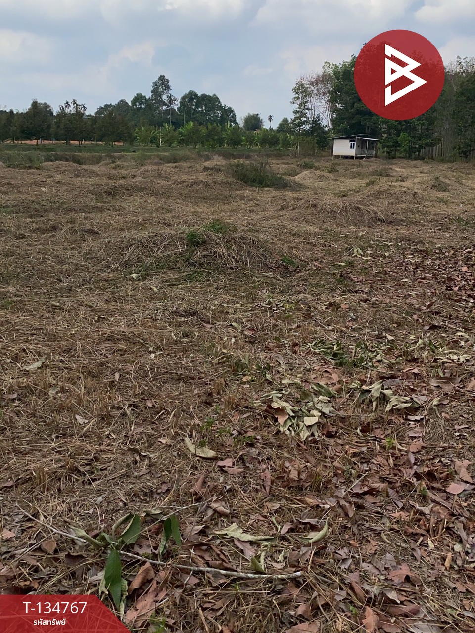 ขายที่ดินพร้อมบ้านพัก เนื้อที่ 3 ไร่ 2 งาน 47 ตร.วา มะขาม จันทบุรี 10