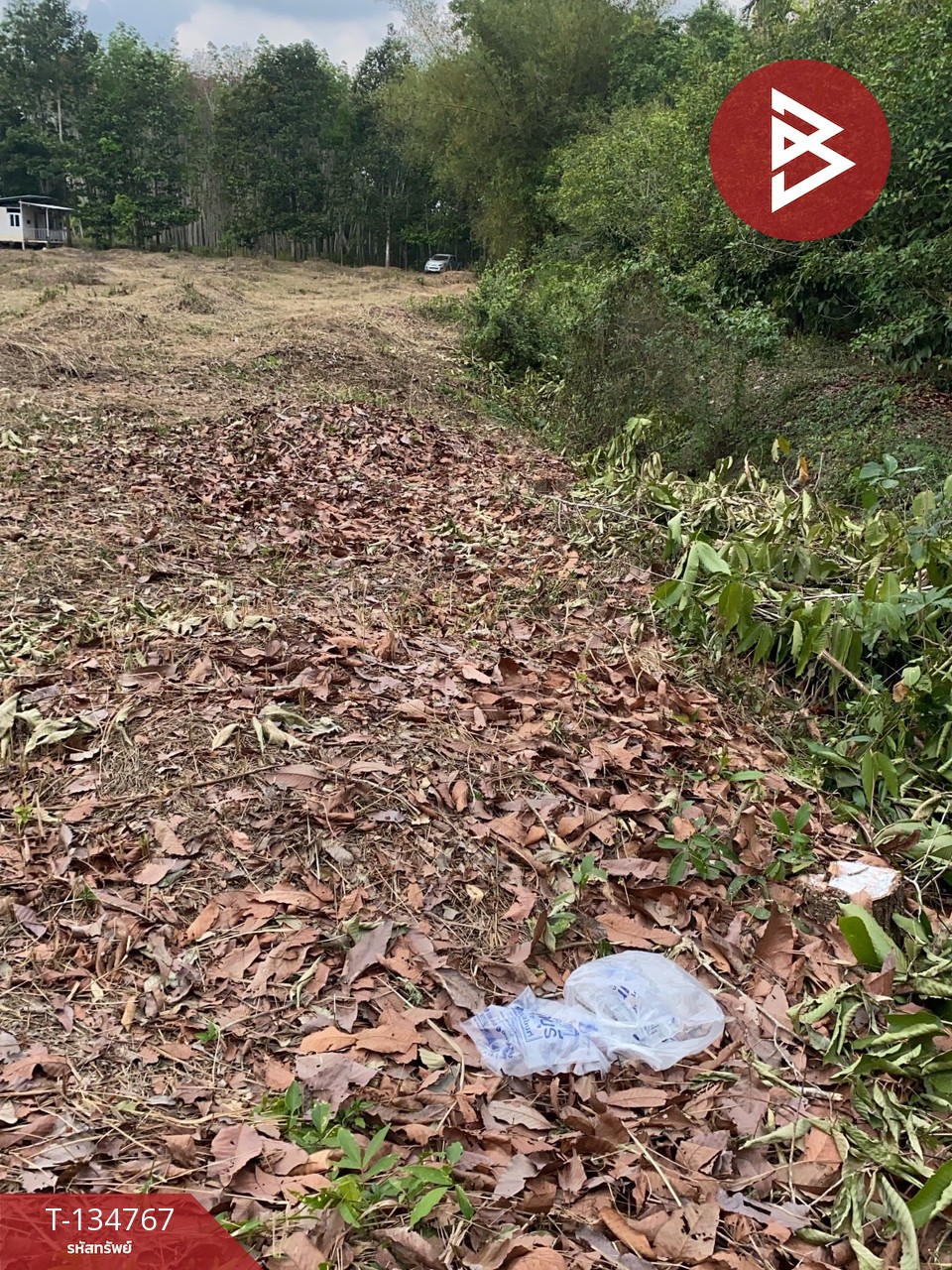 ขายที่ดินพร้อมบ้านพัก เนื้อที่ 3 ไร่ 2 งาน 47 ตร.วา มะขาม จันทบุรี 11