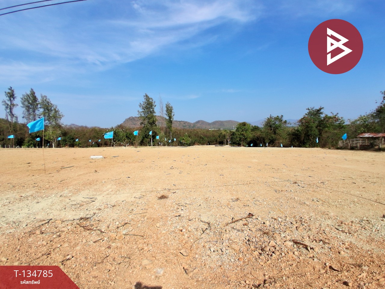 ขายที่ดินแบ่งขาย มี 3 แปลง เนื้อที่รวม 6 ไร่ 3 งาน 29 ตร.วา ท่ายาง เพชรบุรี 1