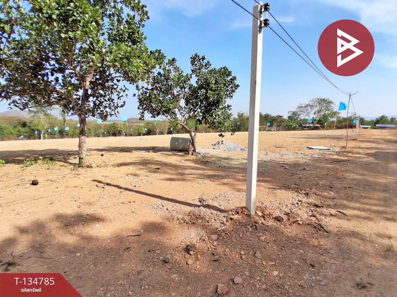 ขายที่ดินแบ่งขาย มี 3 แปลง เนื้อที่รวม 6 ไร่ 3 งาน 29 ตร.วา ท่ายาง เพชรบุรี 7