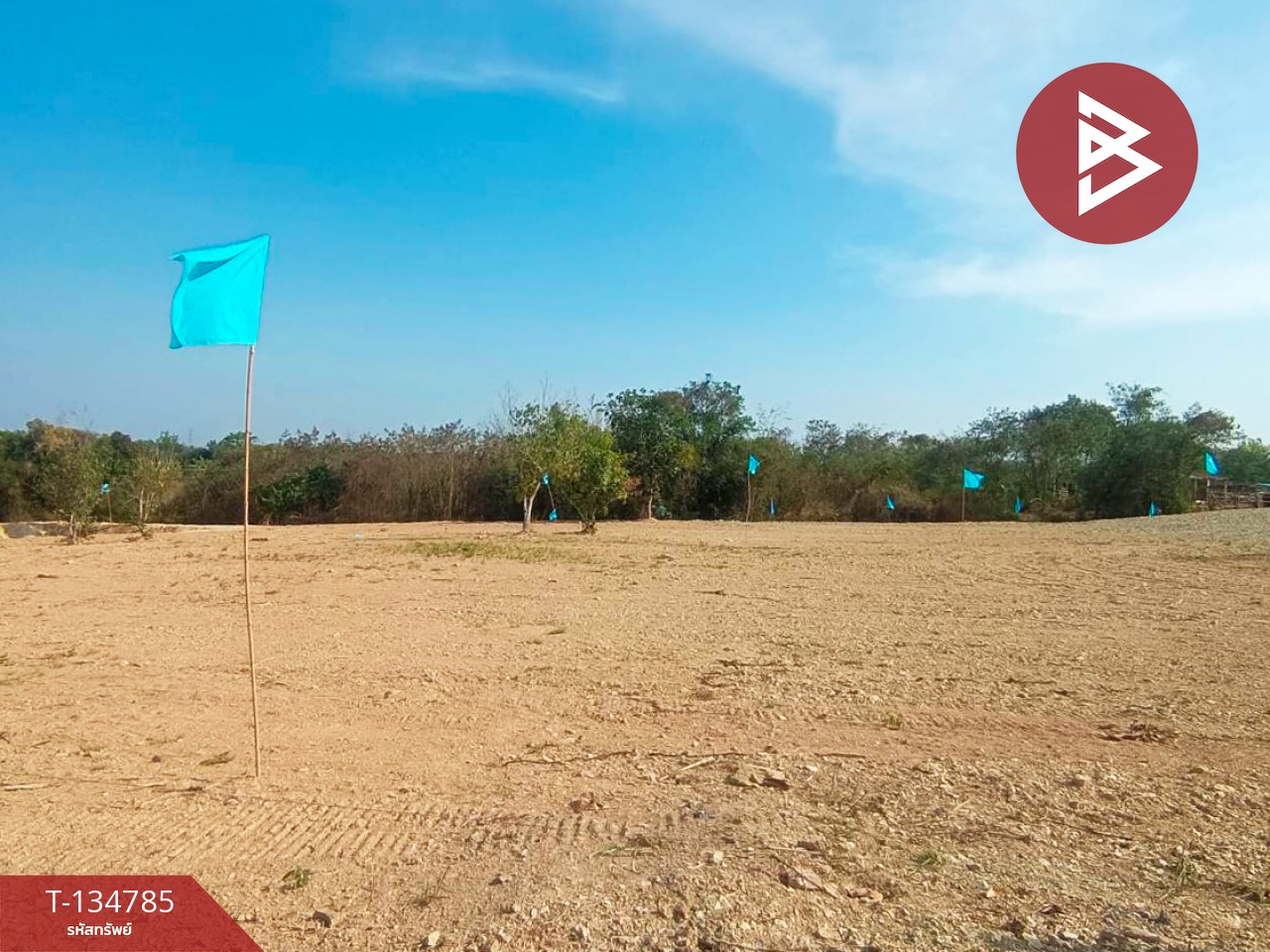 ขายที่ดินแบ่งขาย มี 3 แปลง เนื้อที่รวม 6 ไร่ 3 งาน 29 ตร.วา ท่ายาง เพชรบุรี 2