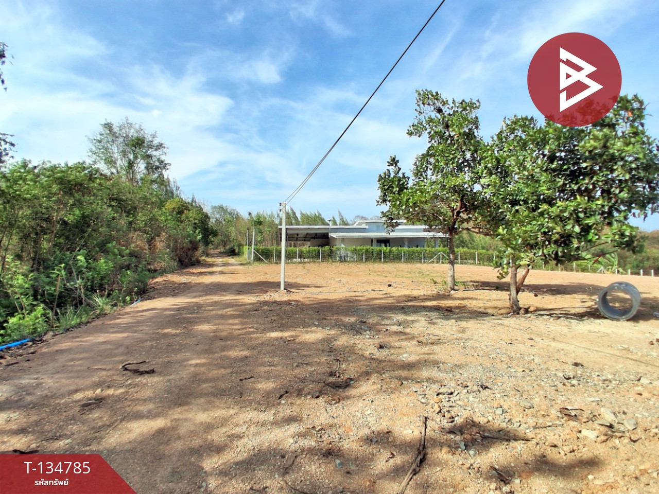 ขายที่ดินแบ่งขาย มี 3 แปลง เนื้อที่รวม 6 ไร่ 3 งาน 29 ตร.วา ท่ายาง เพชรบุรี 10