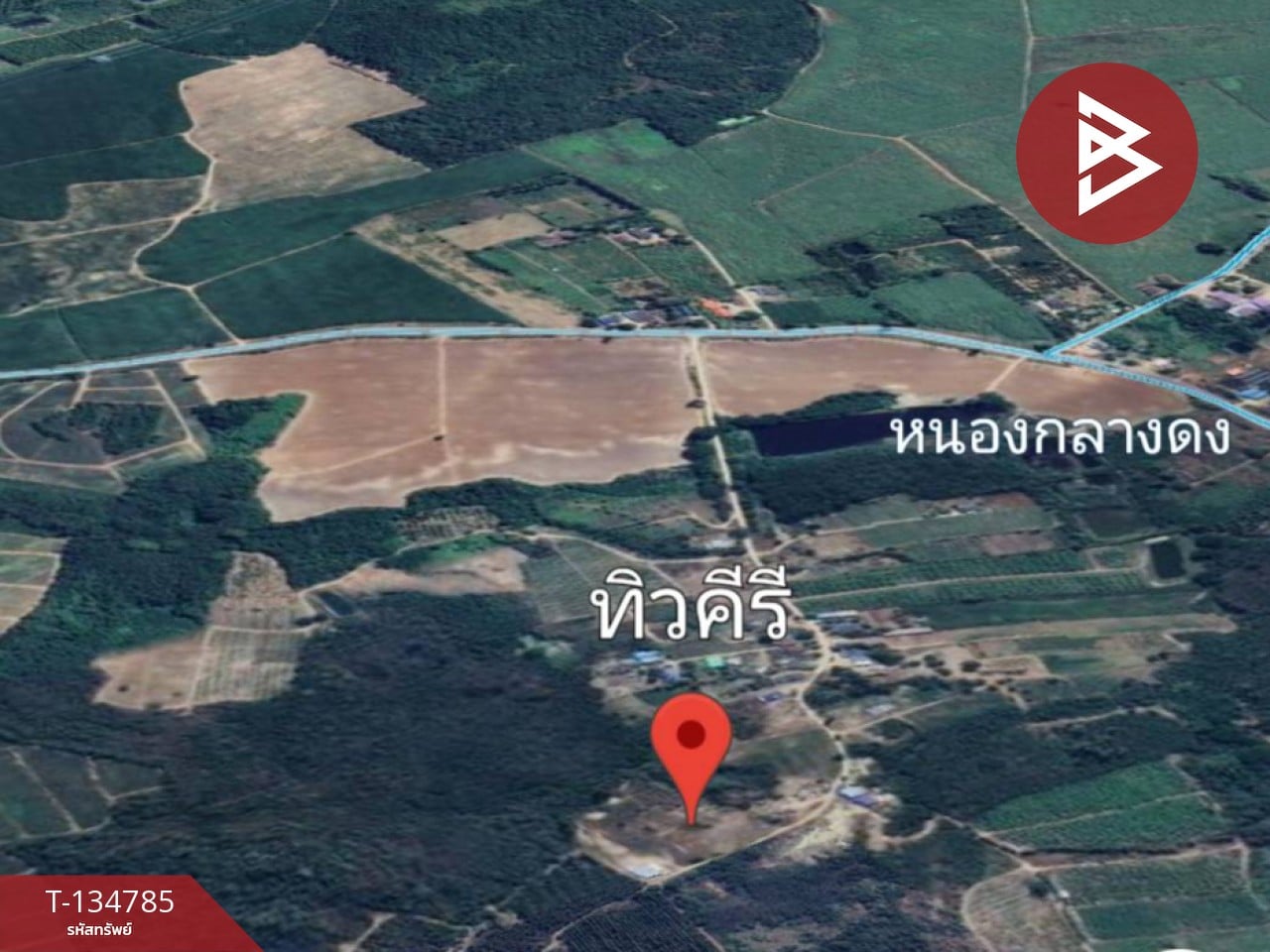 ขายที่ดินแบ่งขาย มี 3 แปลง เนื้อที่รวม 6 ไร่ 3 งาน 29 ตร.วา ท่ายาง เพชรบุรี 12