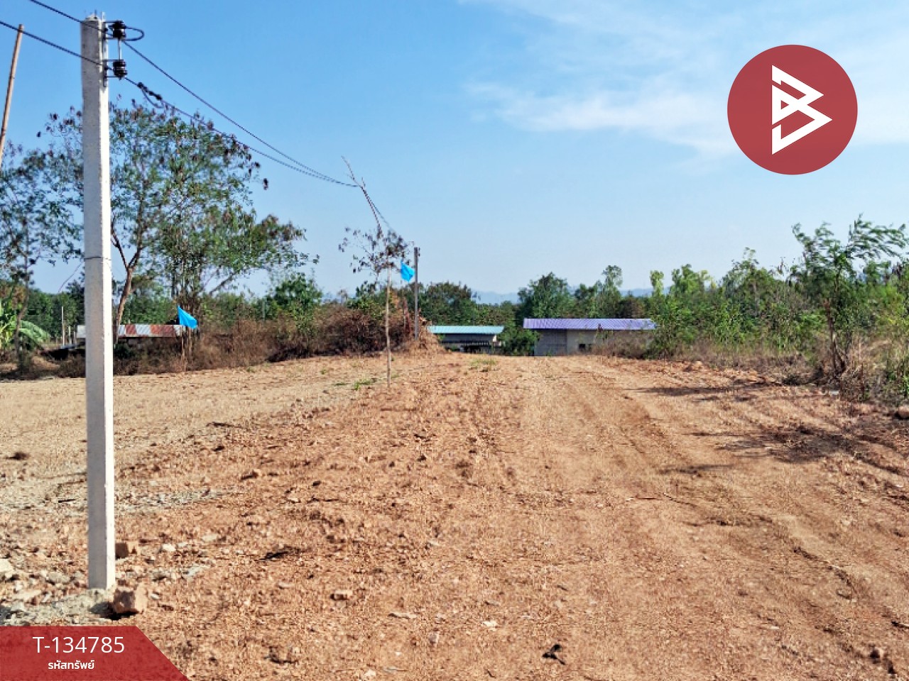 ขายที่ดินแบ่งขาย มี 3 แปลง เนื้อที่รวม 6 ไร่ 3 งาน 29 ตร.วา ท่ายาง เพชรบุรี 13