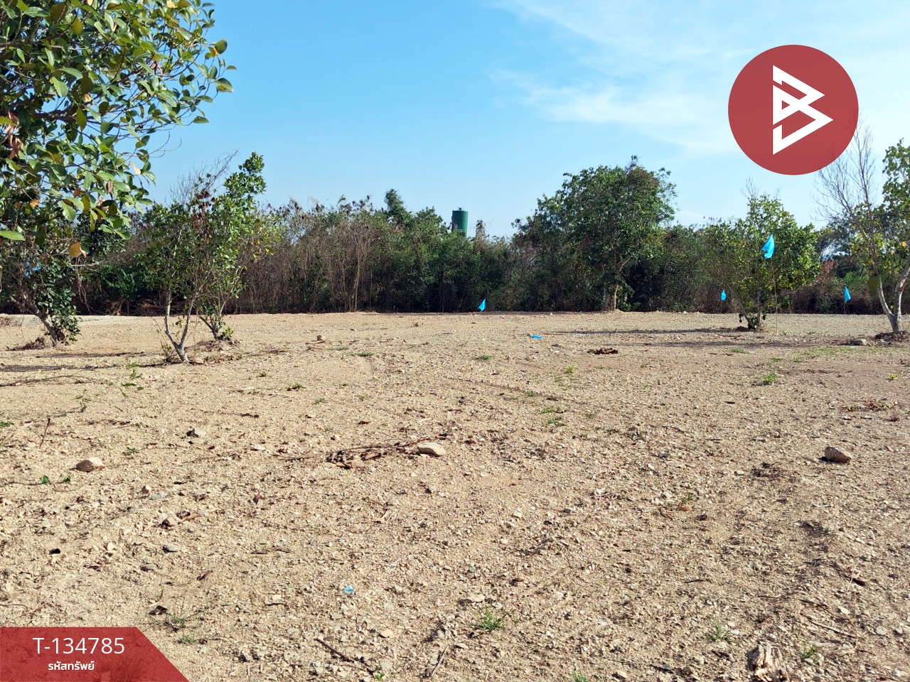 ขายที่ดินแบ่งขาย มี 3 แปลง เนื้อที่รวม 6 ไร่ 3 งาน 29 ตร.วา ท่ายาง เพชรบุรี 9