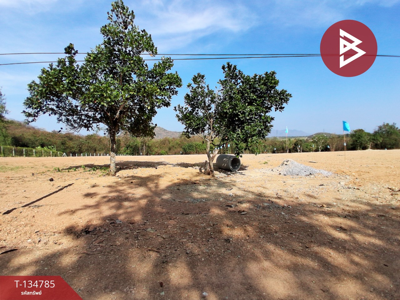 ขายที่ดินแบ่งขาย มี 3 แปลง เนื้อที่รวม 6 ไร่ 3 งาน 29 ตร.วา ท่ายาง เพชรบุรี 6