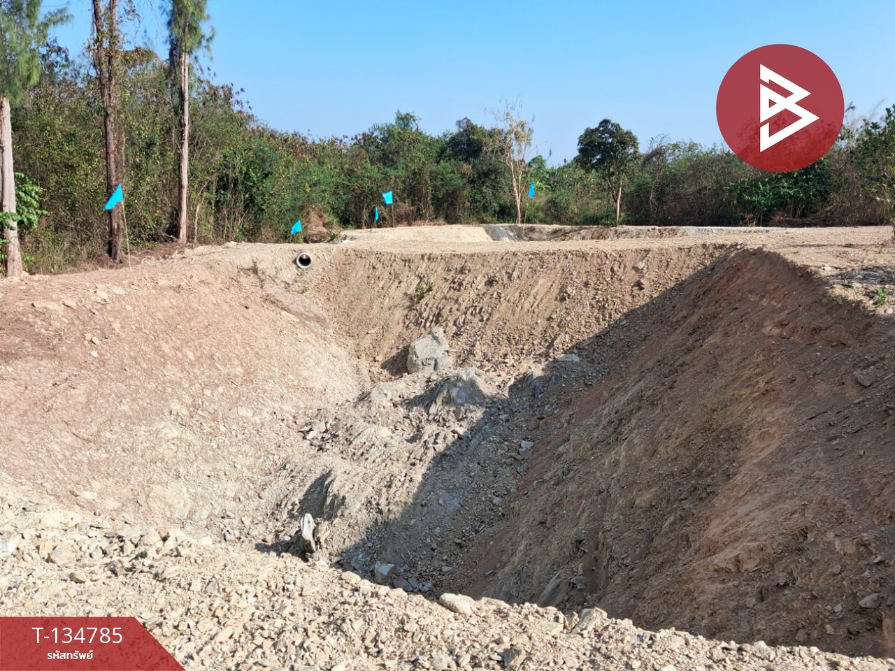 ขายที่ดินแบ่งขาย มี 3 แปลง เนื้อที่รวม 6 ไร่ 3 งาน 29 ตร.วา ท่ายาง เพชรบุรี 11