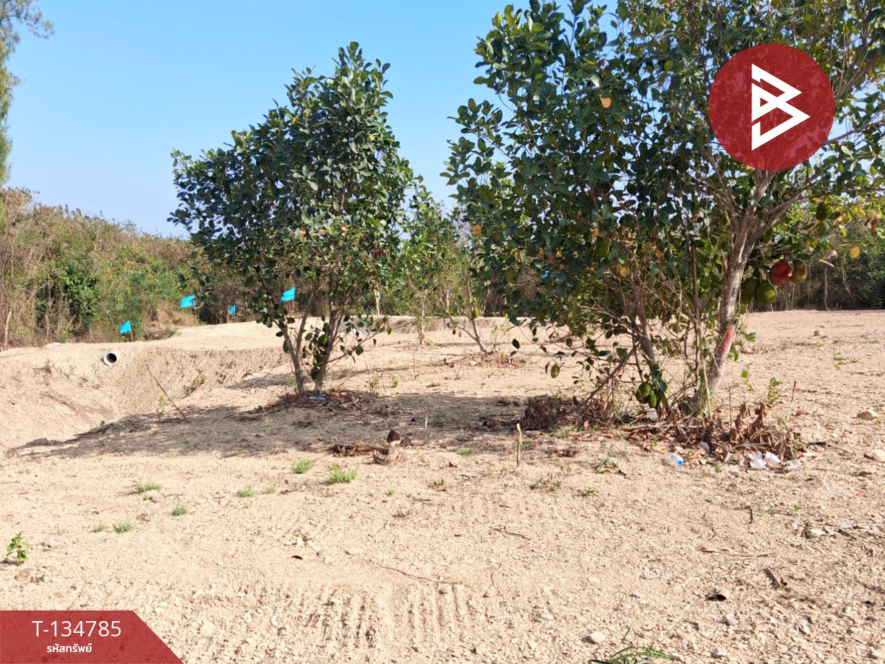 ขายที่ดินแบ่งขาย มี 3 แปลง เนื้อที่รวม 6 ไร่ 3 งาน 29 ตร.วา ท่ายาง เพชรบุรี 8