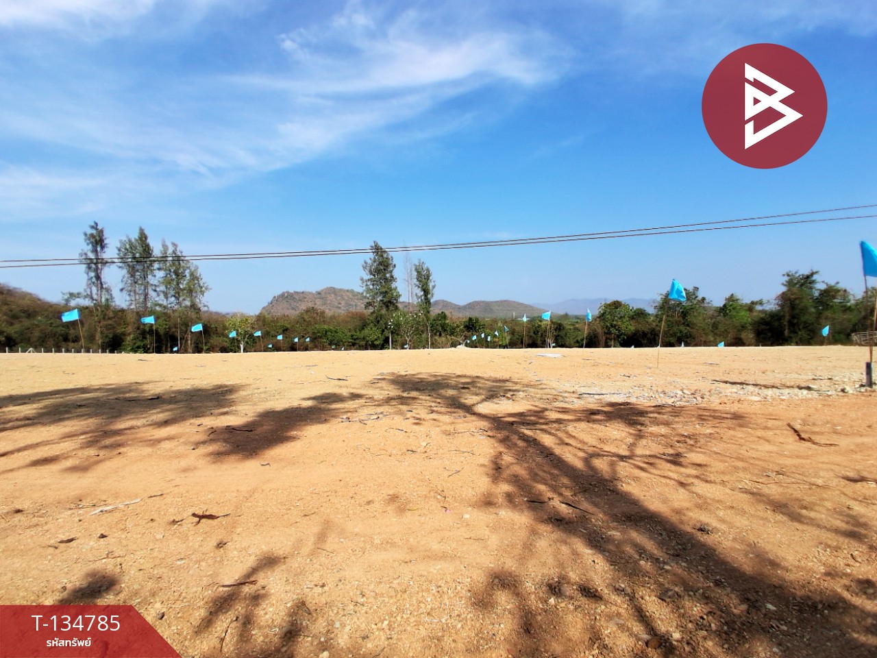 ขายที่ดินแบ่งขาย มี 3 แปลง เนื้อที่รวม 6 ไร่ 3 งาน 29 ตร.วา ท่ายาง เพชรบุรี 3