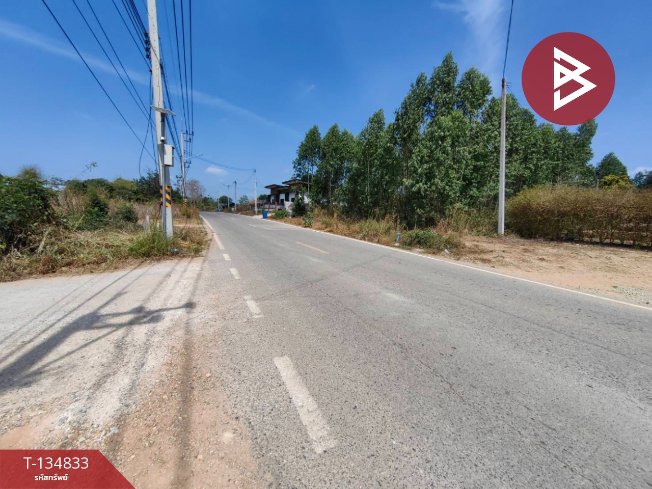 ขายที่ดิน เนื้อที่ 1 งาน 89 ตร.วา พนมสารคาม ฉะเชิงเทรา 7