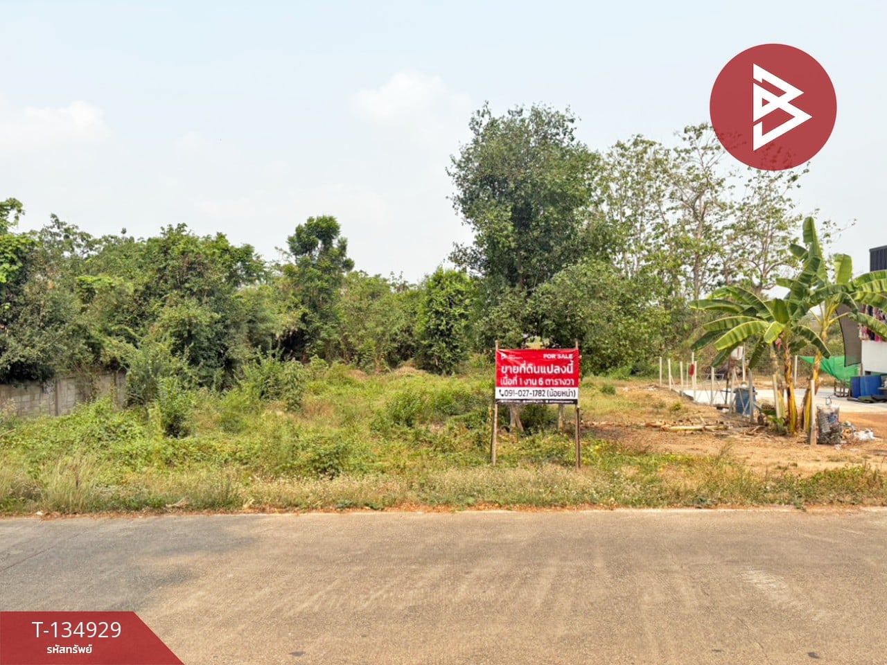 ขายที่ดิน เนื้อที่ 1 งาน 6 ตร.วา ป่าเซ่า อุตรดิตถ์ 14