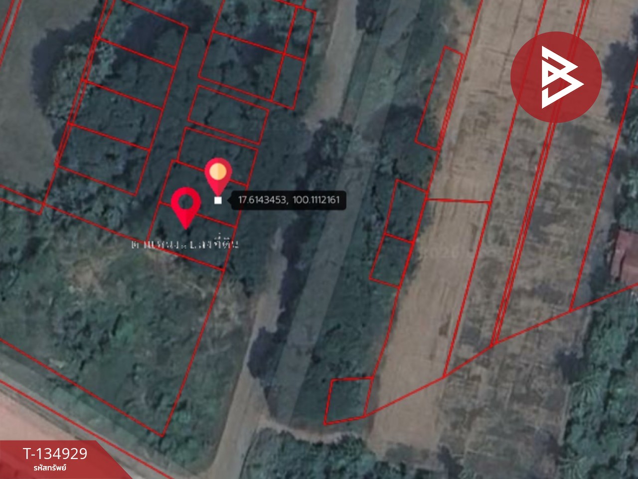 ขายที่ดิน เนื้อที่ 1 งาน 6 ตร.วา ป่าเซ่า อุตรดิตถ์ 15