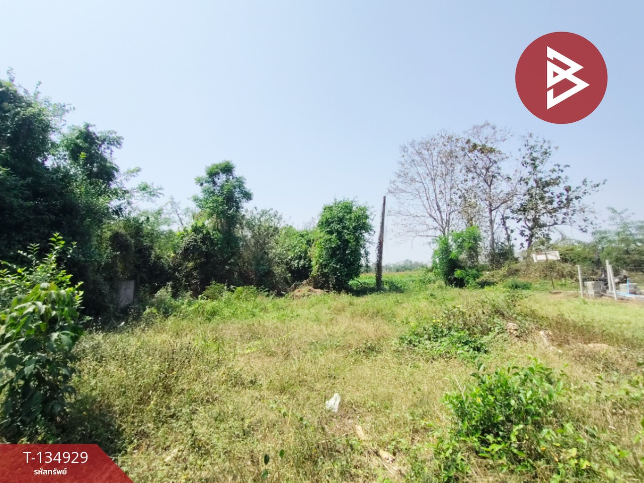 ขายที่ดิน เนื้อที่ 1 งาน 6 ตร.วา ป่าเซ่า อุตรดิตถ์ 7