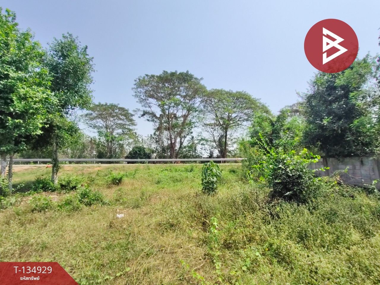 ขายที่ดิน เนื้อที่ 1 งาน 6 ตร.วา ป่าเซ่า อุตรดิตถ์ 13