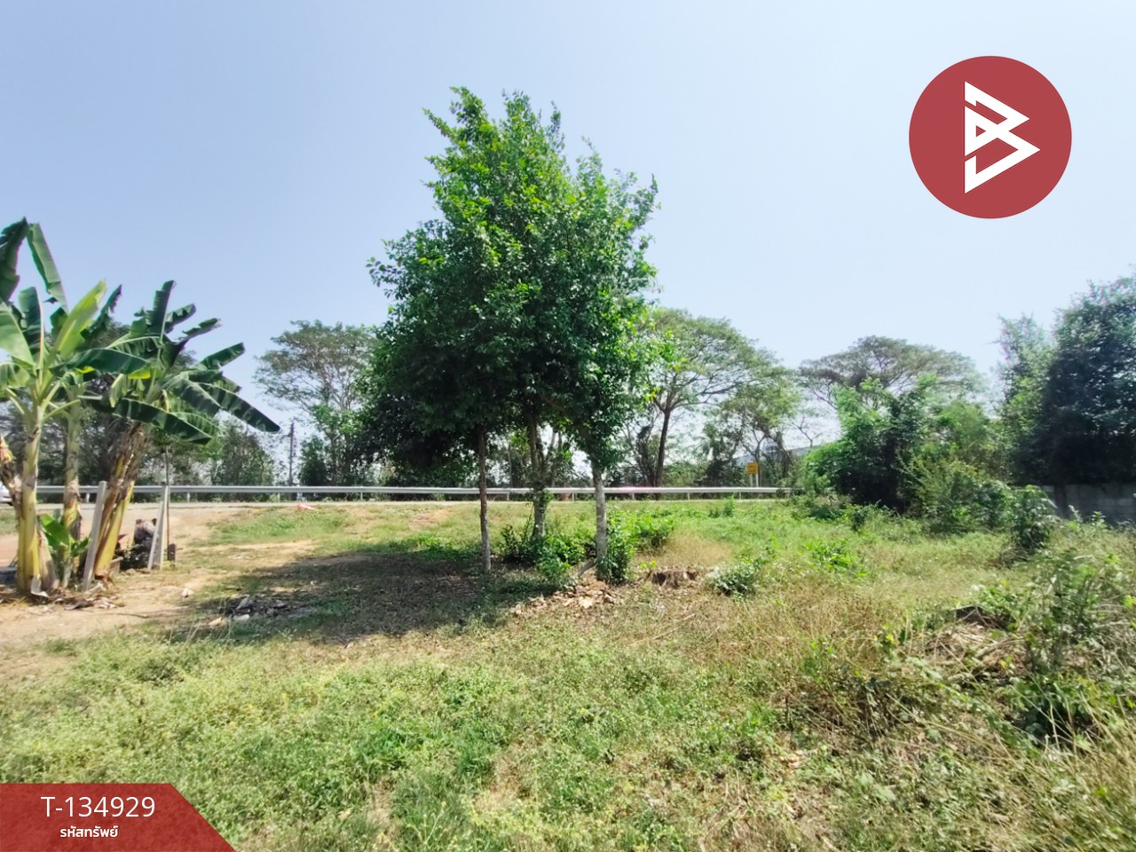 ขายที่ดิน เนื้อที่ 1 งาน 6 ตร.วา ป่าเซ่า อุตรดิตถ์ 11