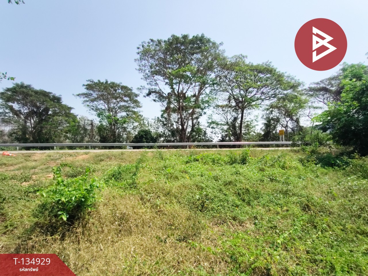 ขายที่ดิน เนื้อที่ 1 งาน 6 ตร.วา ป่าเซ่า อุตรดิตถ์ 8