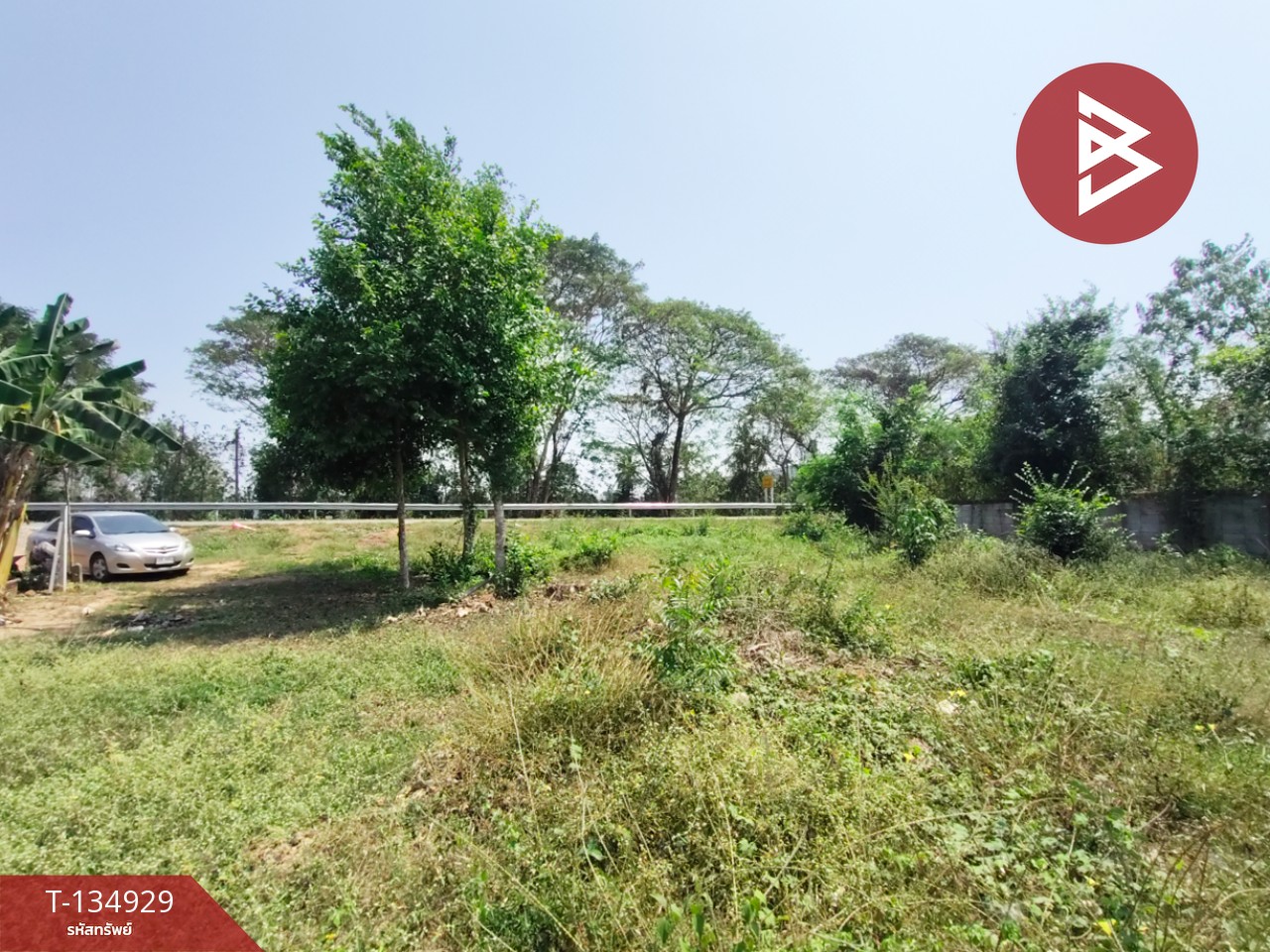 ขายที่ดิน เนื้อที่ 1 งาน 6 ตร.วา ป่าเซ่า อุตรดิตถ์ 5