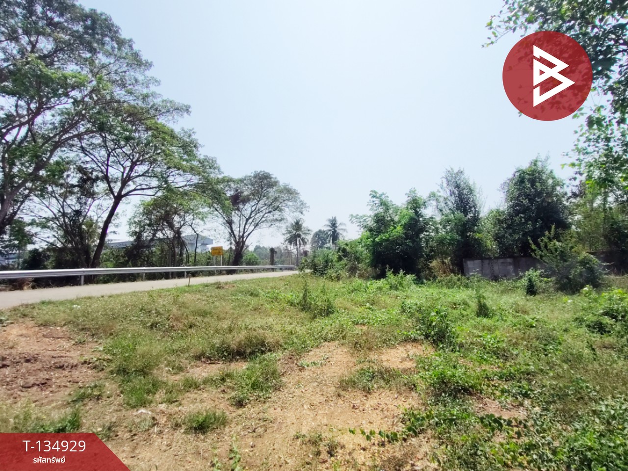 ขายที่ดิน เนื้อที่ 1 งาน 6 ตร.วา ป่าเซ่า อุตรดิตถ์ 6