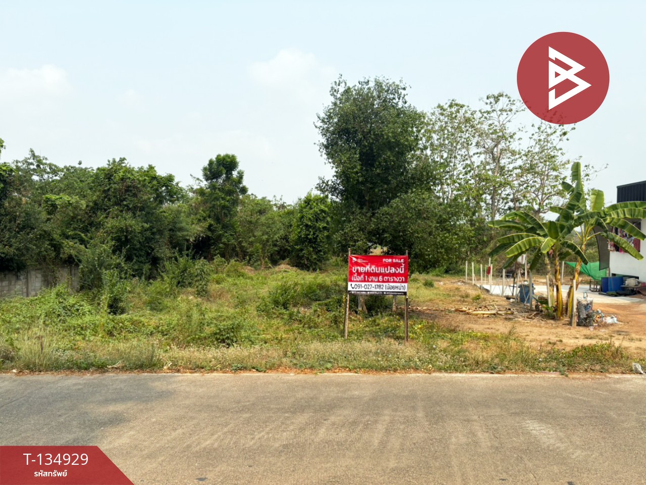 ขายที่ดิน เนื้อที่ 1 งาน 6 ตร.วา ป่าเซ่า อุตรดิตถ์ 1