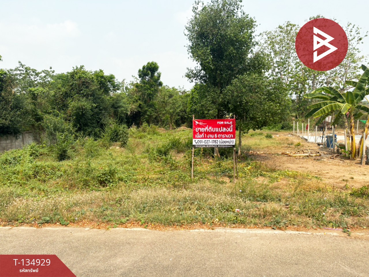 ขายที่ดิน เนื้อที่ 1 งาน 6 ตร.วา ป่าเซ่า อุตรดิตถ์ 9