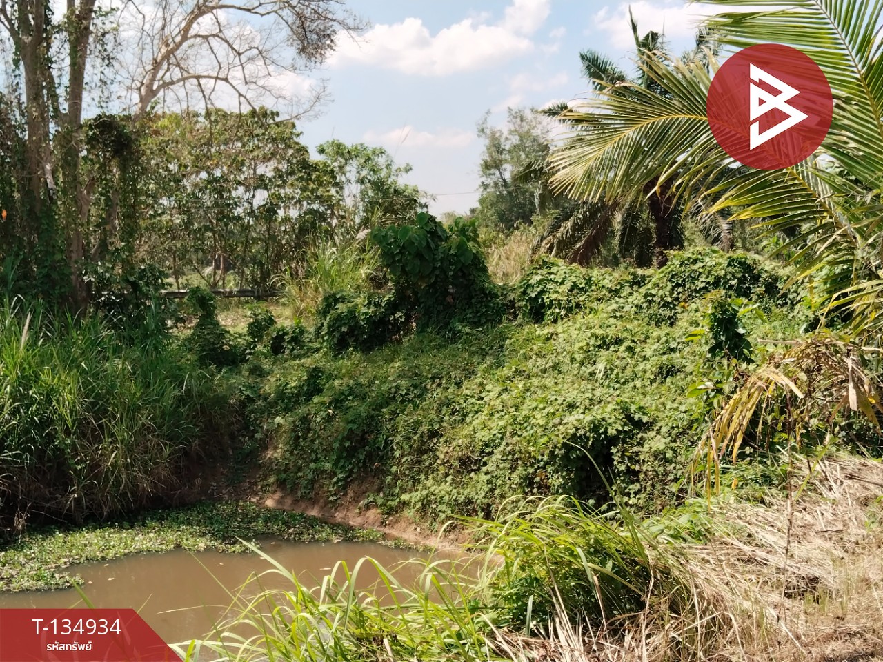 ขายที่ดินแปลงสวย เนื้อที่ 5 ไร่ 21.3 ตารางวา นาทุ่ง ชุมพร 9