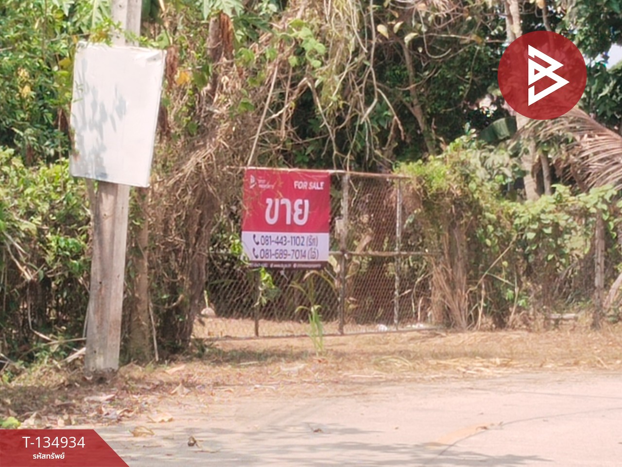 ขายที่ดินแปลงสวย เนื้อที่ 5 ไร่ 21.3 ตารางวา นาทุ่ง ชุมพร 11