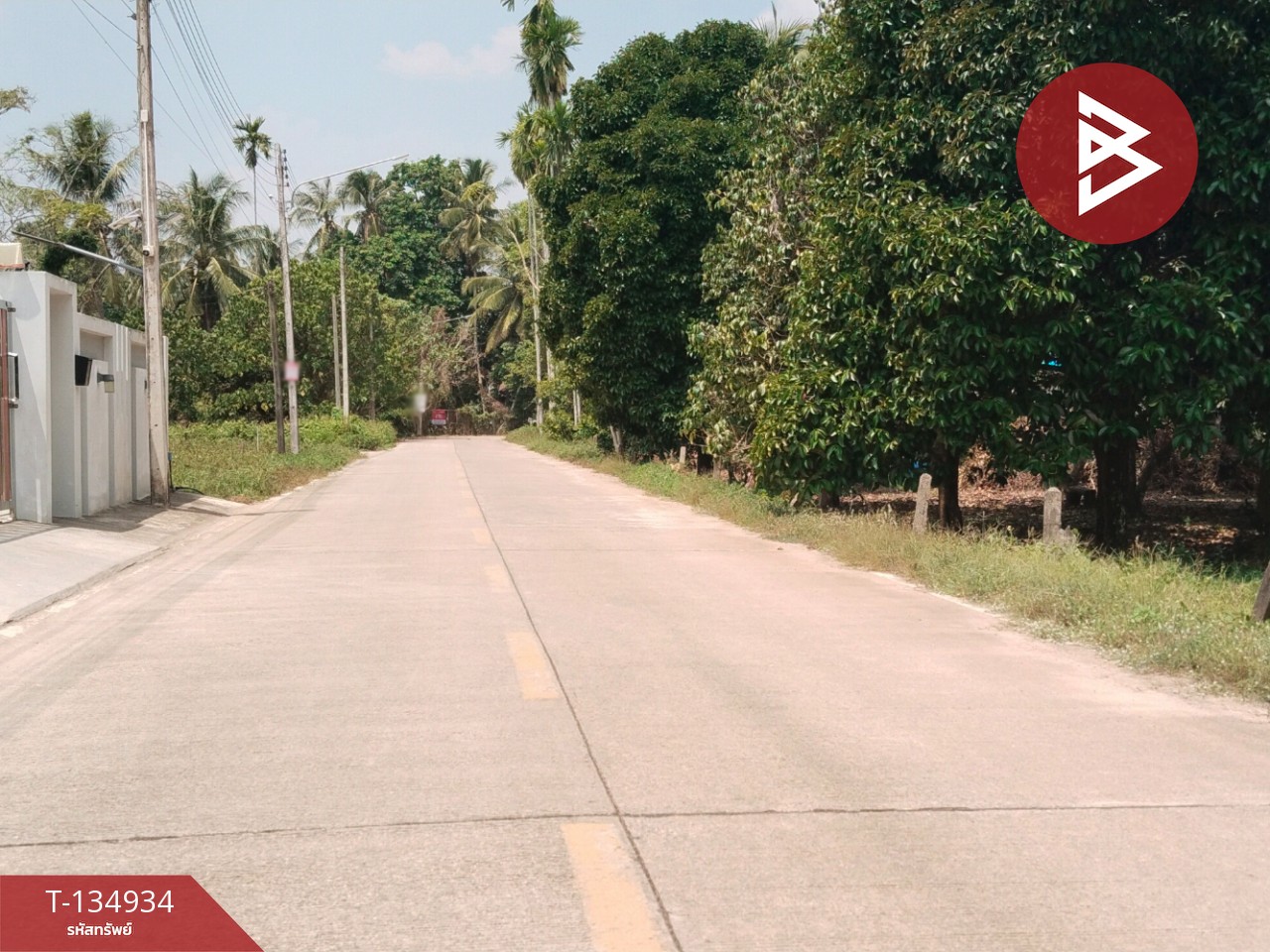 ขายที่ดินแปลงสวย เนื้อที่ 5 ไร่ 21.3 ตารางวา นาทุ่ง ชุมพร 12