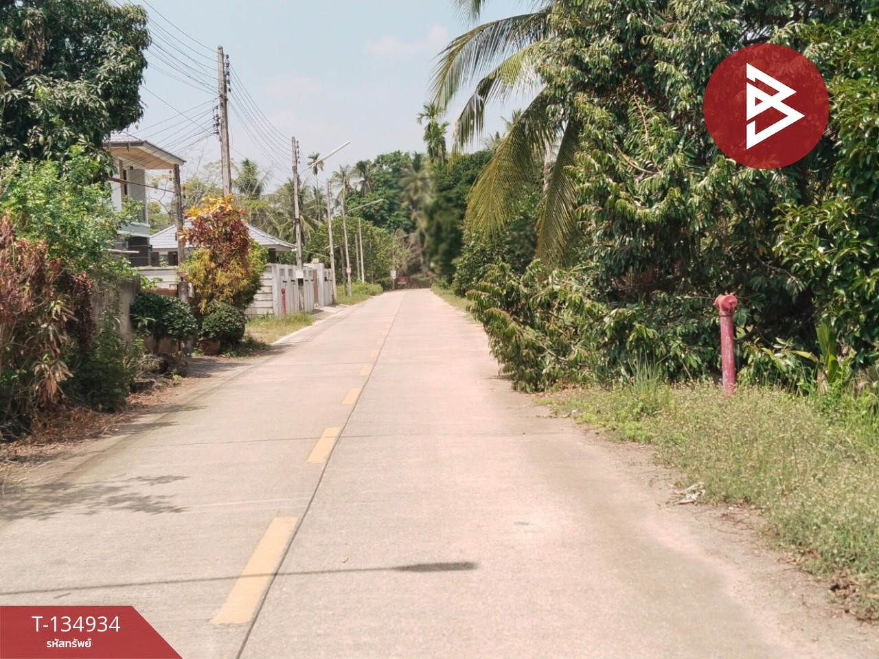 ขายที่ดินแปลงสวย เนื้อที่ 5 ไร่ 21.3 ตารางวา นาทุ่ง ชุมพร 13