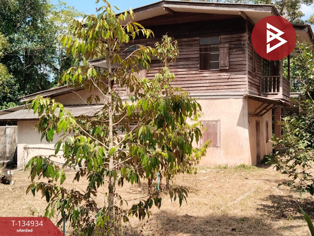 ขายที่ดินแปลงสวย เนื้อที่ 5 ไร่ 21.3 ตารางวา นาทุ่ง ชุมพร 1