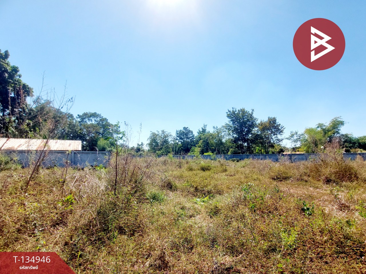 ขายที่ดิน เนื้อที่ 3 ไร่ โนนสูง อุดรธานี 6