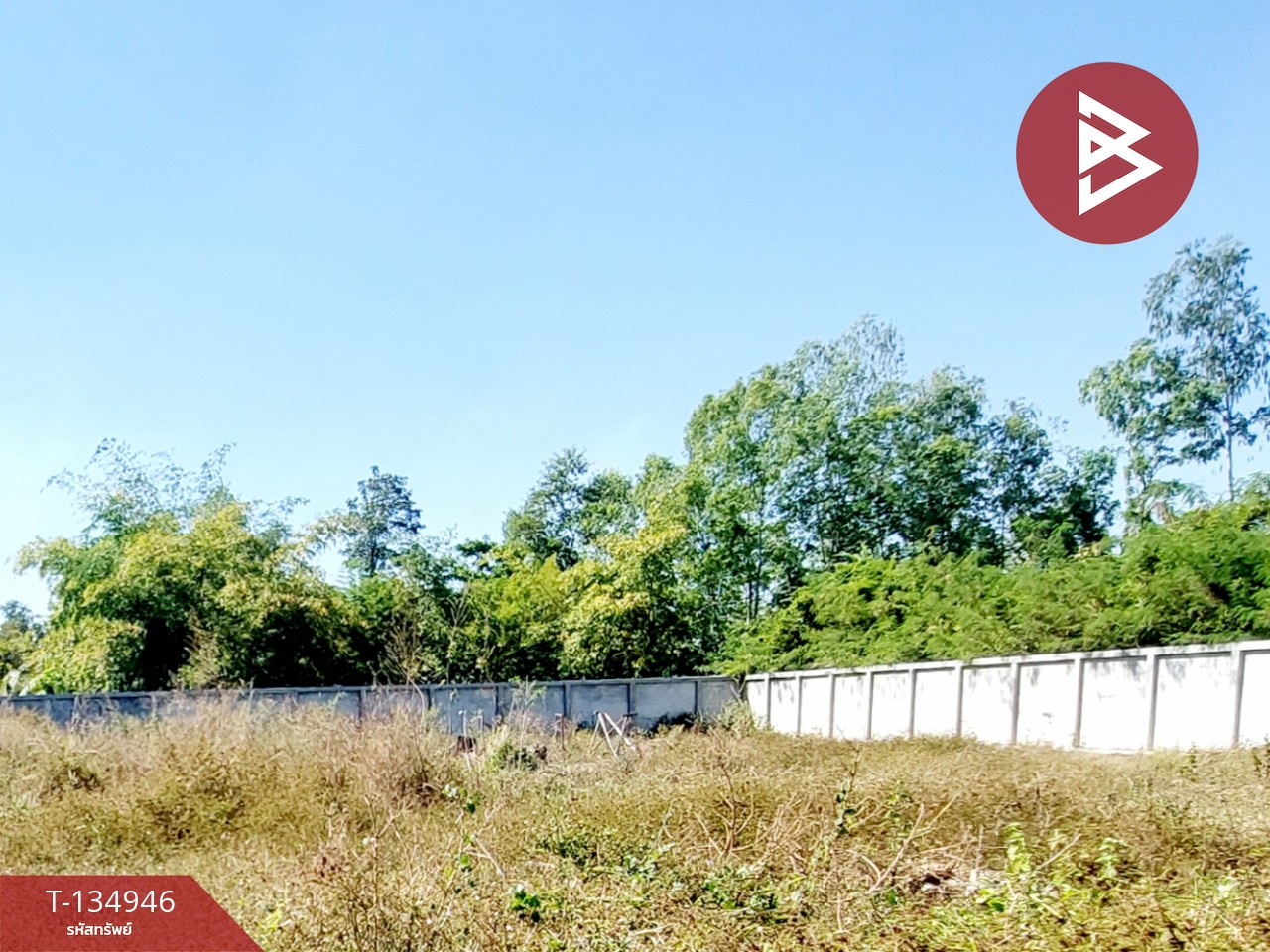 ขายที่ดิน เนื้อที่ 3 ไร่ โนนสูง อุดรธานี 3